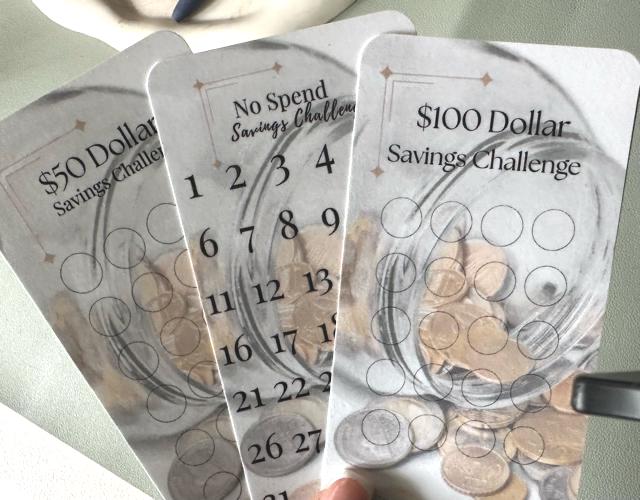 Starter Set Savings Challenge Trio - 50 Dollar 100 Dollar and No Spend Tracker Set - Budgeting Cards for Cash Stuffing