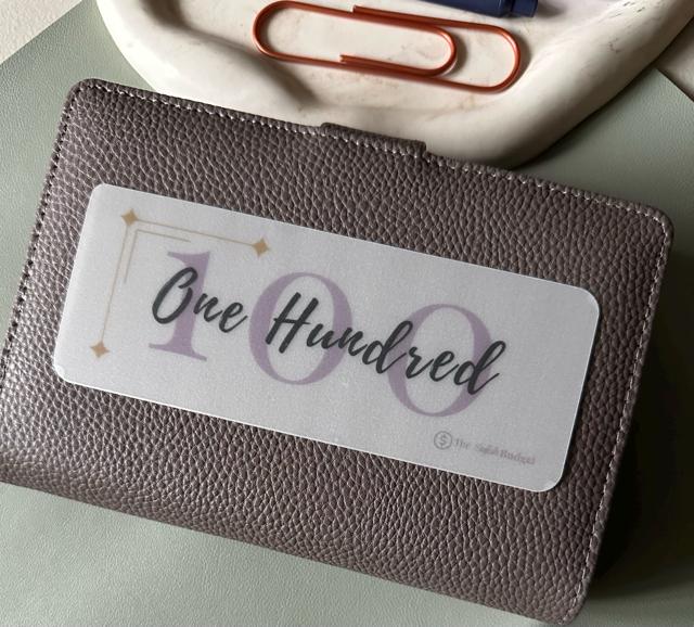 A6 Cash Envelope Savings Placeholders: Matte Vellum Budget Insert Set of 6