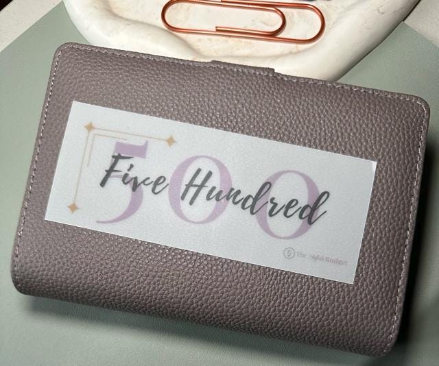 A6 Cash Envelope Savings Placeholders: Matte Vellum Budget Insert Set of 6