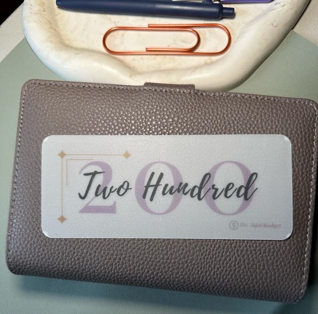 A6 Cash Envelope Savings Placeholders: Matte Vellum Budget Insert Set of 6