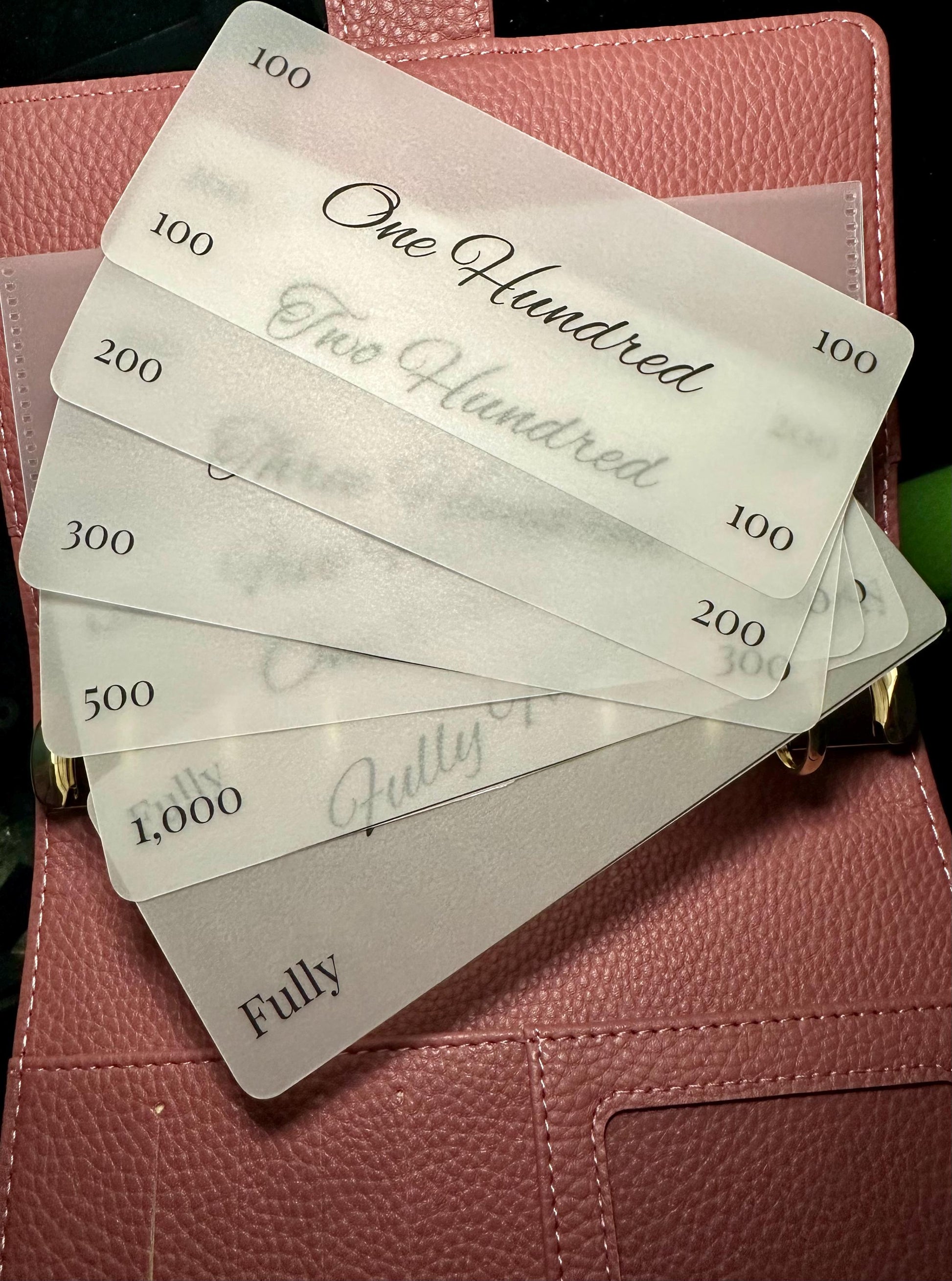 Minimalist Budget Binder Placeholders: Laminated Cash Stuffing Insert Set of 6