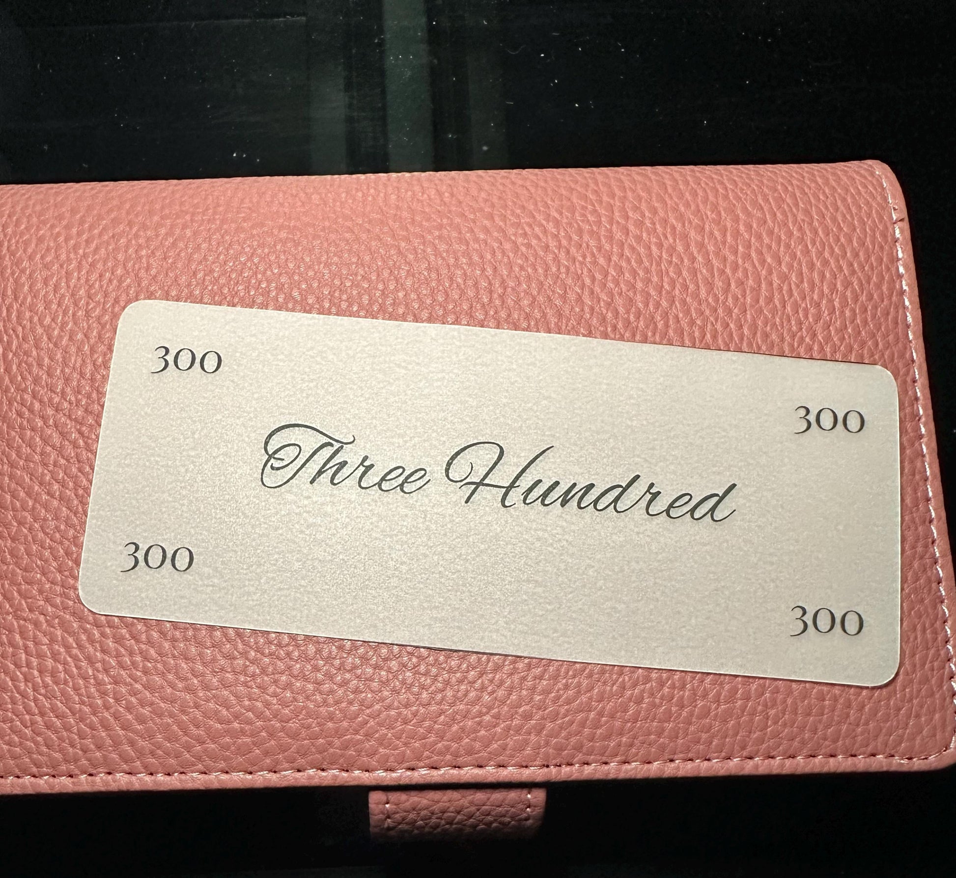 Minimalist Budget Binder Placeholders: Laminated Cash Stuffing Insert Set of 6