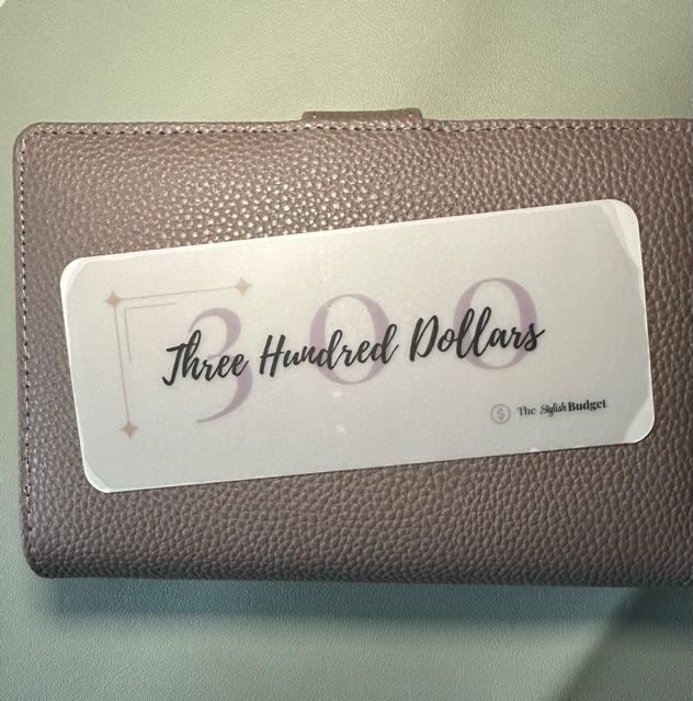 A6 Cash Envelope Savings Placeholders: Matte Vellum Budget Insert Set of 6