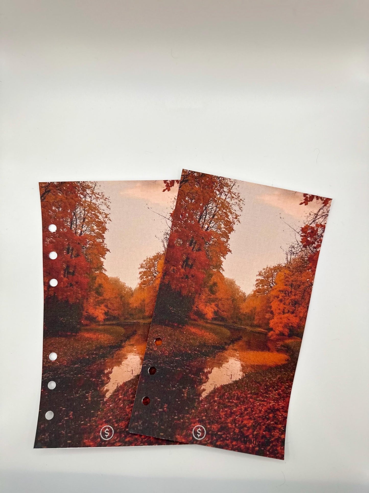 Fall Linen Planner Dashboard with Trees & Leaves | Autumn Cash Envelope Binder Divider | Seasonal Budgeting Accessory