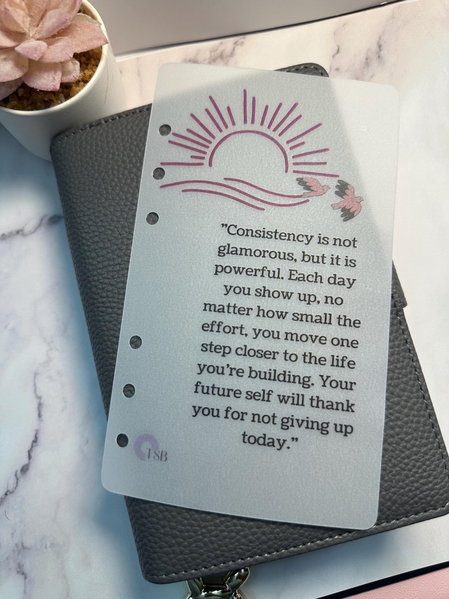 A6 Vellum Planner Dashboards: Inspirational Affirmations, Budget Binder Set