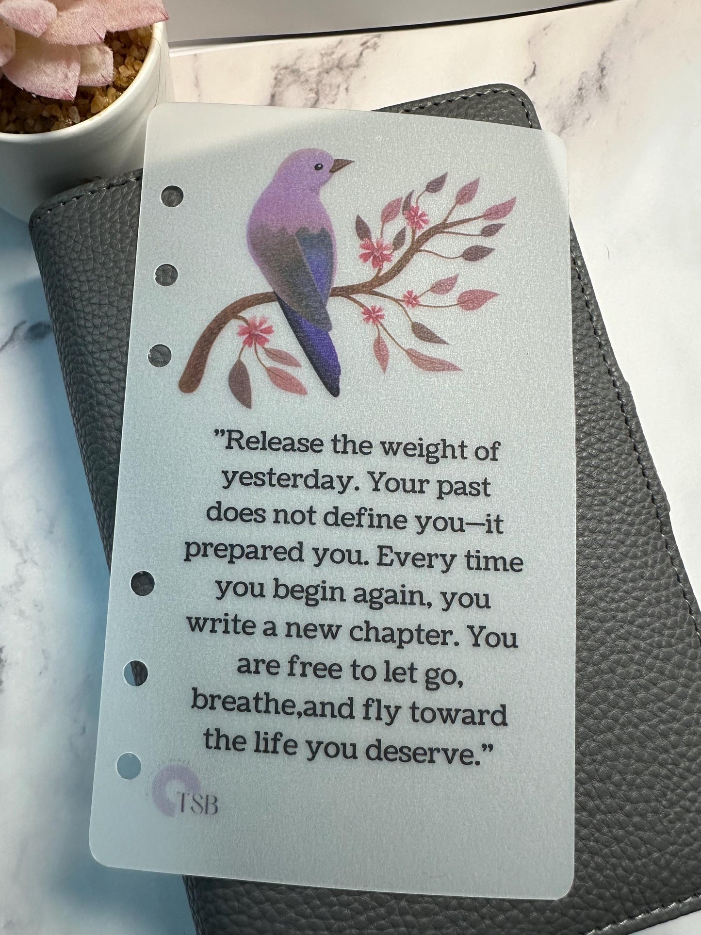 A6 Vellum Planner Dashboards: Inspirational Affirmations, Budget Binder Set