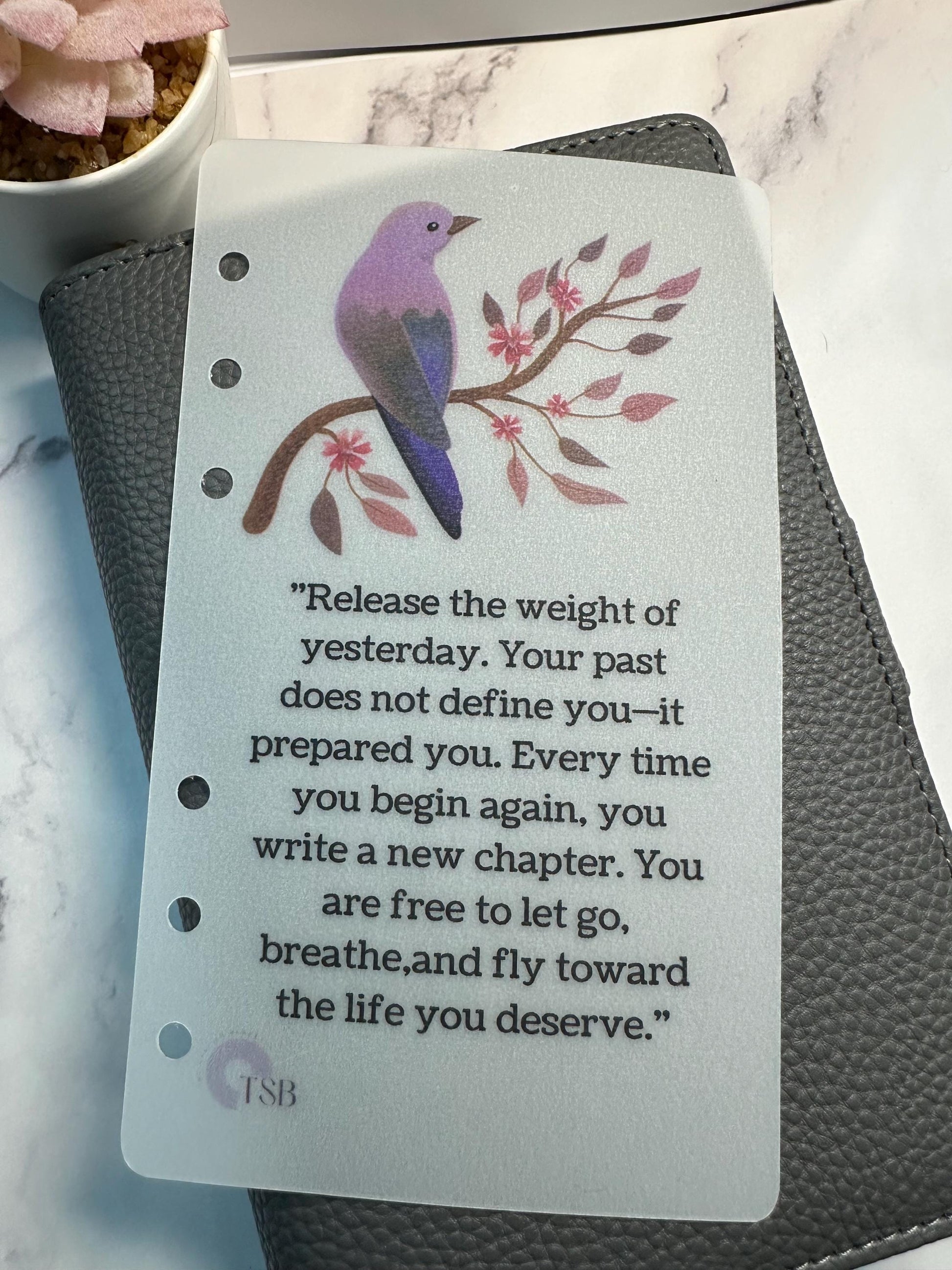 A6 Vellum Planner Dashboards: Inspirational Affirmations, Budget Binder Set