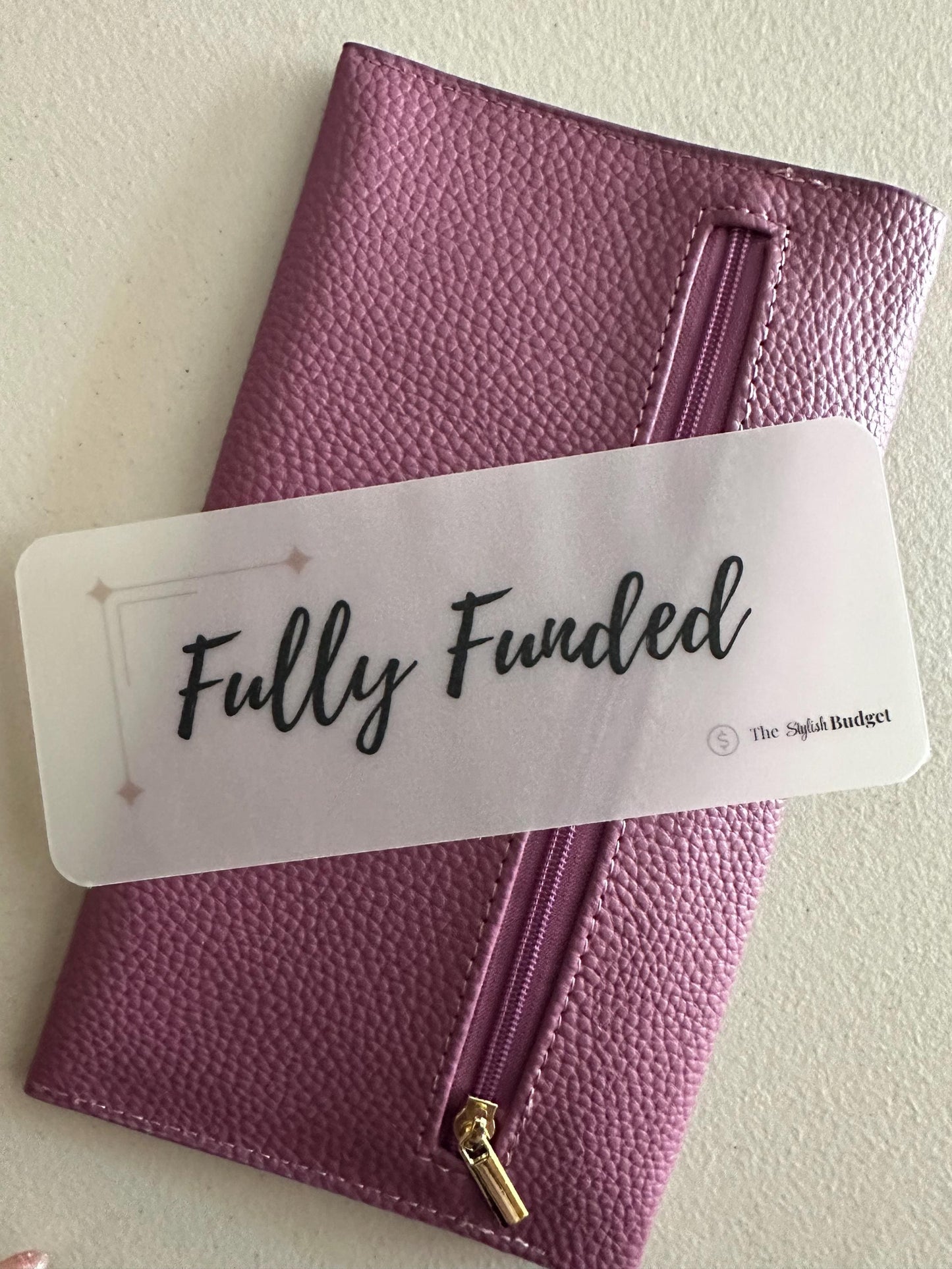 A6 Cash Envelope Savings Placeholders: Matte Vellum Budget Insert Set of 6