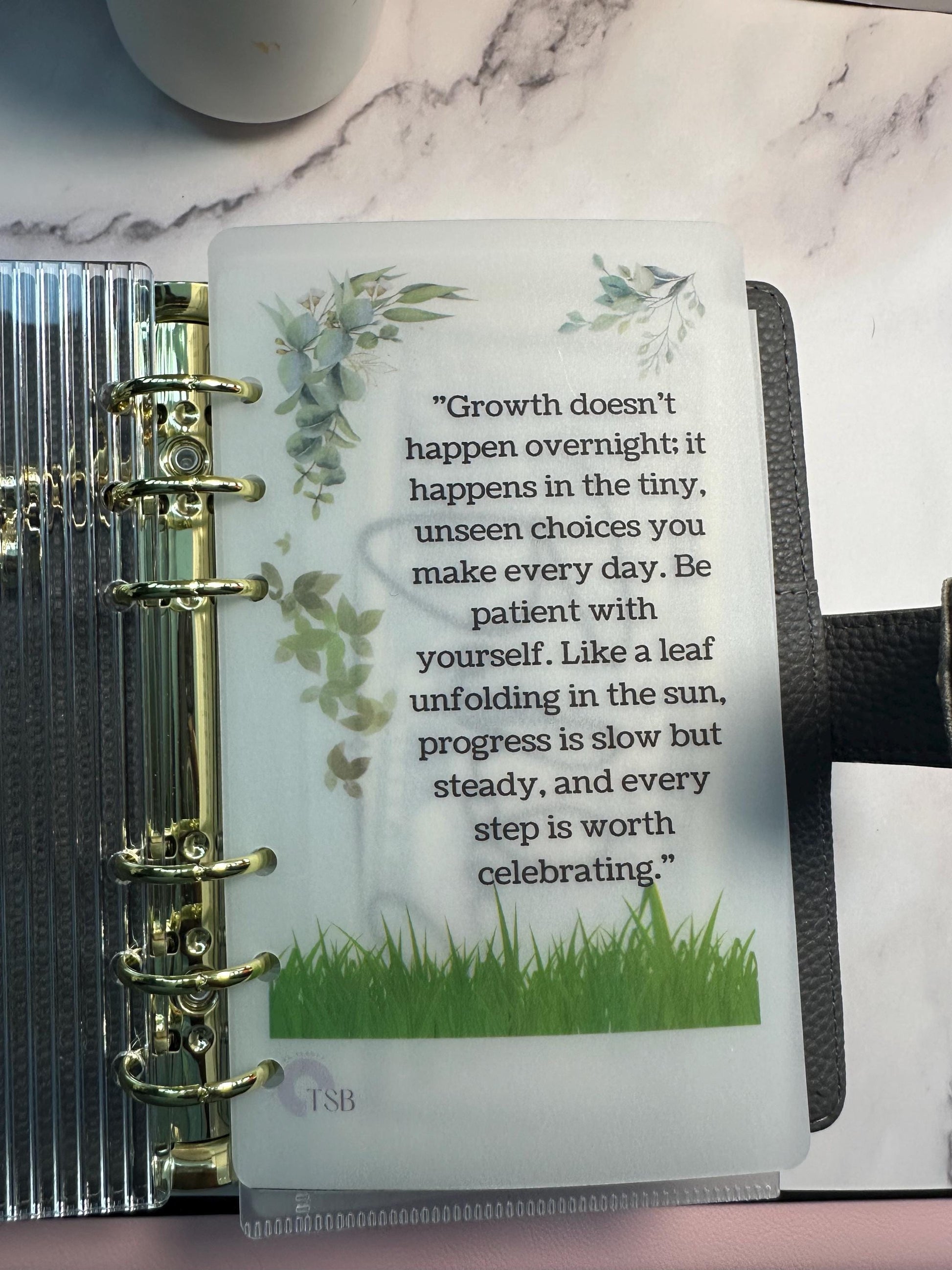 A6 Vellum Planner Dashboards: Inspirational Affirmations, Budget Binder Set