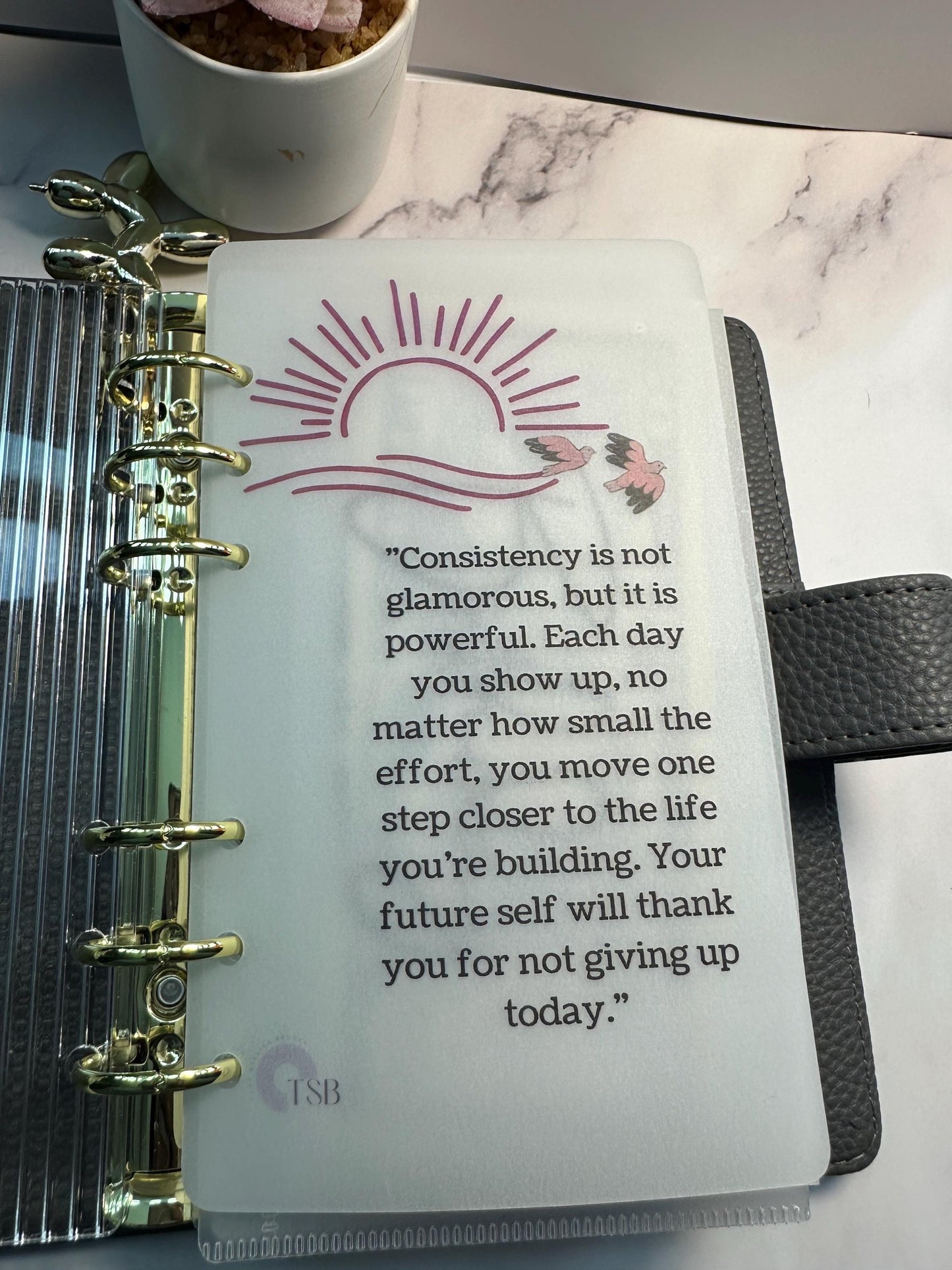 A6 Vellum Planner Dashboards: Inspirational Affirmations, Budget Binder Set