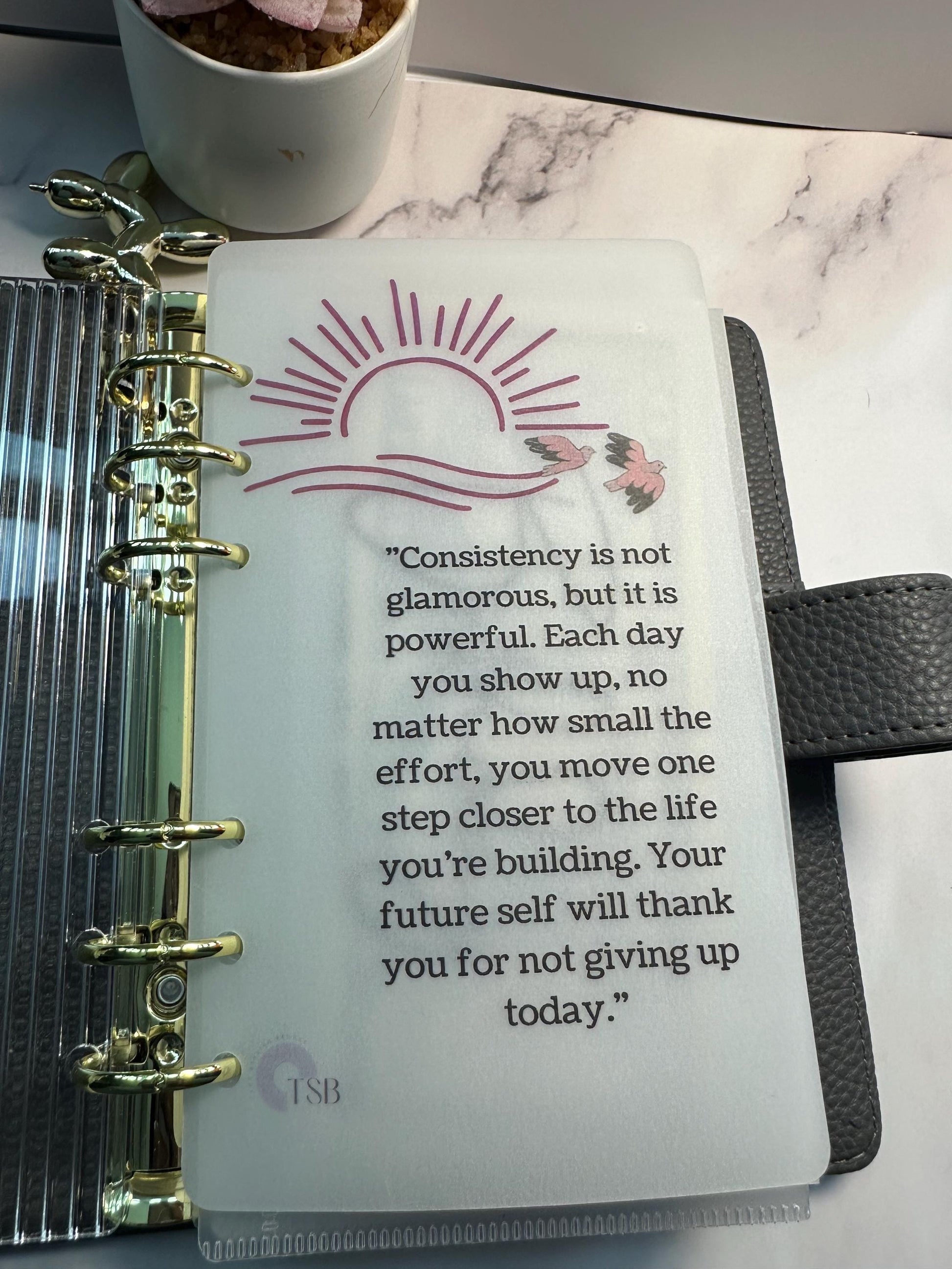 A6 Vellum Planner Dashboards: Inspirational Affirmations, Budget Binder Set