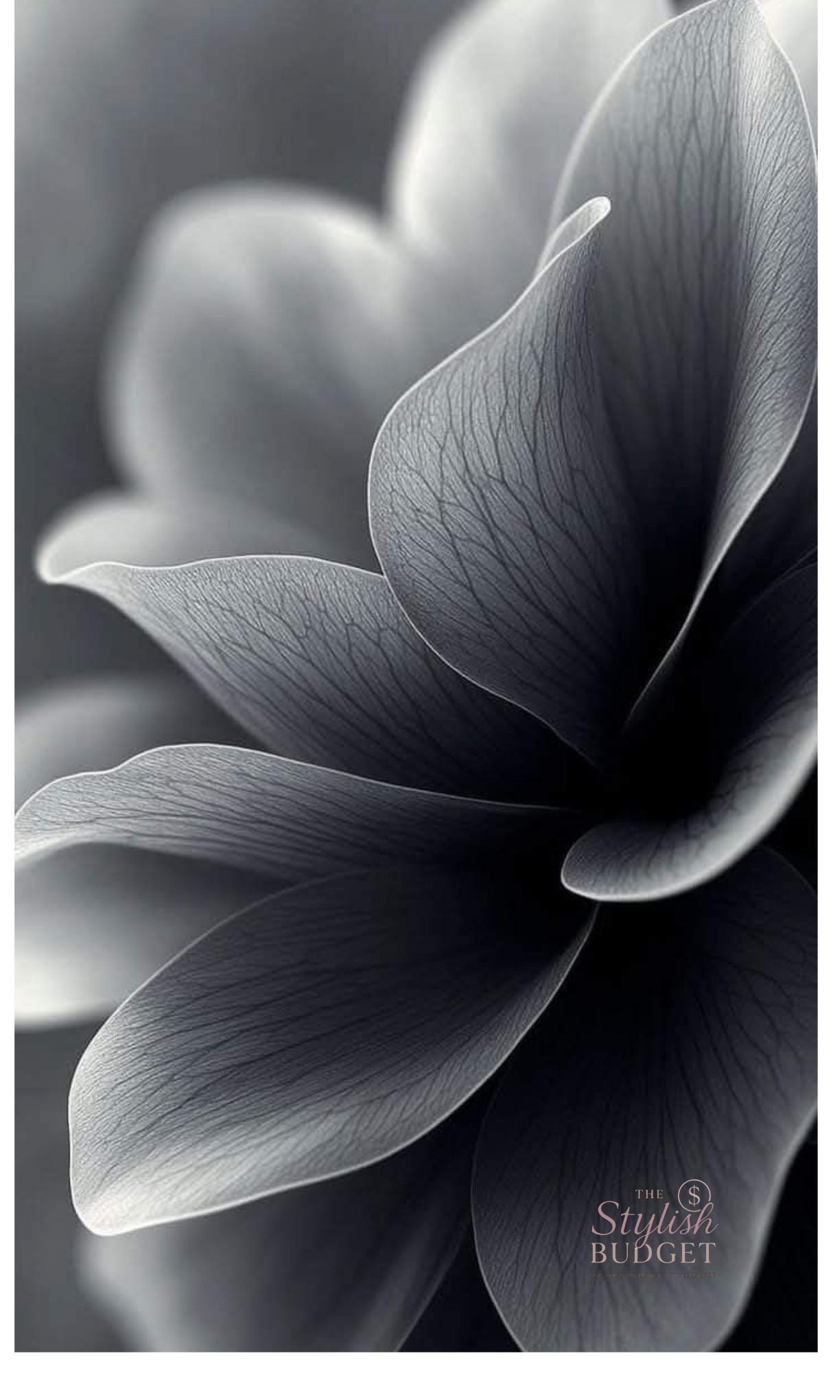 Black Flower Dashboard Glossy Cardstock| A6 Budget Binder Insert |